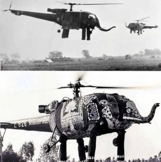 Elephant Helicopter Photo Viral
