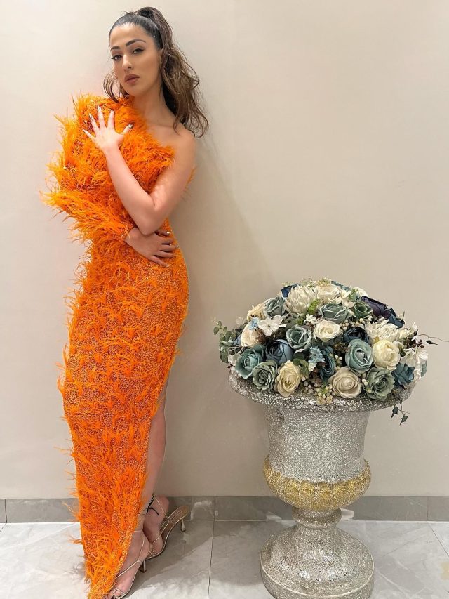 Orange carpet attire looks really pretty on Raai Laxmi.