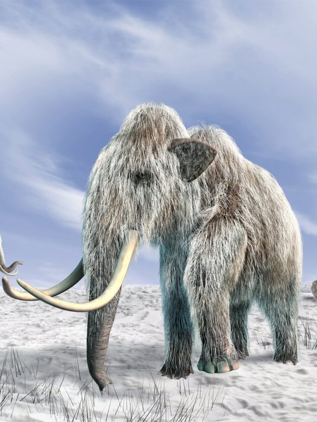 What causes an Ice Age?