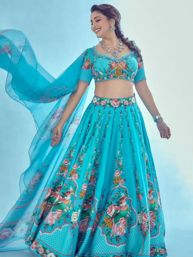 Madhuri Dixit Inspired Hottest lehenga blouse designs to recreate.