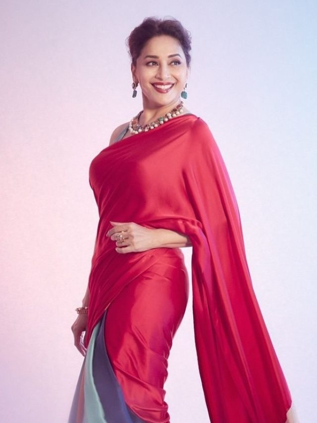 Madhuri Dixit Inspired Mesmerizing Saree Designs.