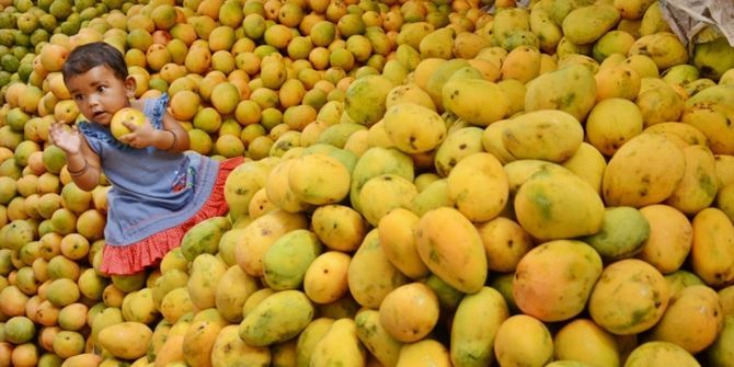 Malihabad mango