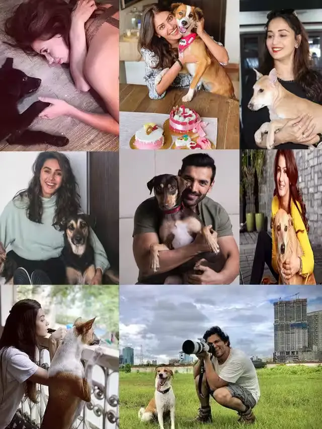 Top Bollywood Superstars Who Adopted Pets