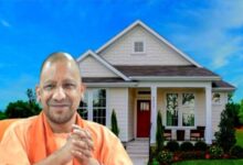 Yogi Government