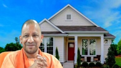 Yogi Government