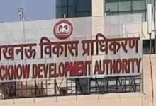 LDA News