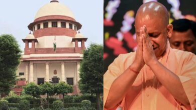 Yogi government