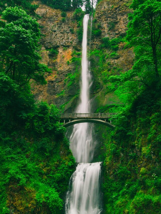 INDIA’S 8 ICONIC WATERFALLS TO VISIT DURING THE MONSOON SEASON.