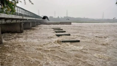 Yamuna